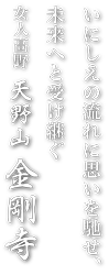 いにしえの流れに思いを馳せ、未来へと受け継ぐ 女人高野 天野山金剛寺